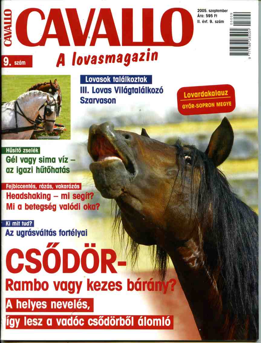 Appaloosa Horse told by Club Cavallo Italia. For you.