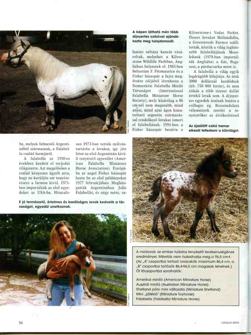 Appaloosa Horse told by Club Cavallo Italia. For you.